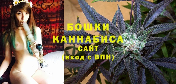 экстази Дмитриев