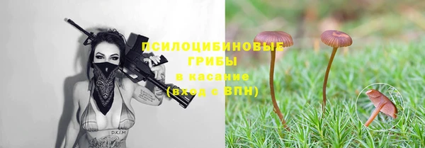 эйфоретик Дмитровск