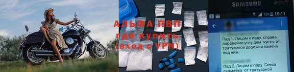 экстази Дмитриев