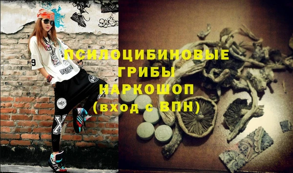 эйфоретик Дмитровск